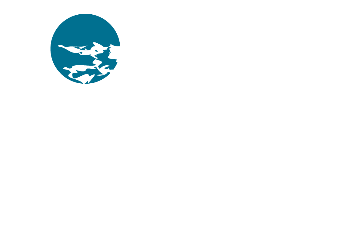 Colsen_logo_white